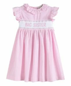 Cheap ❤️ Lil Cactus Pink Seersucker 'Big Sister' Angel-Sleeve 👗 Dress - 👧 Girls For Kids 😀